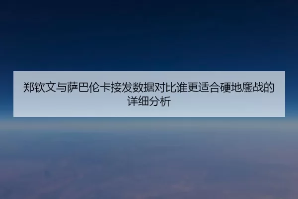 郑钦文与萨巴伦卡接发数据对比谁更适合硬地鏖战的详细分析